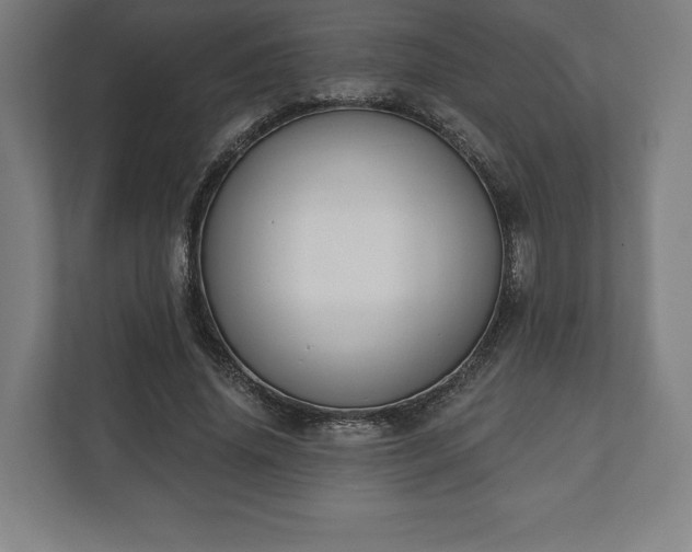 X0000110860636200906251209