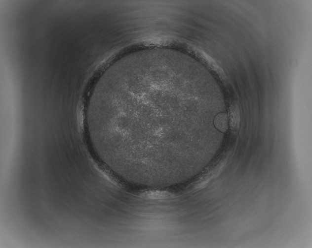 X0000110860637200906251209