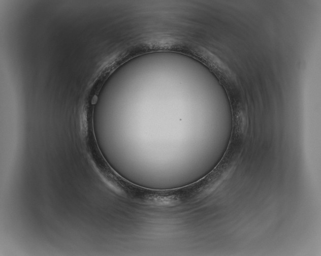 X0000110860638200906251209