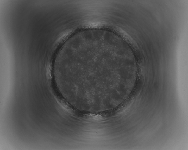 X0000110860640200906251209