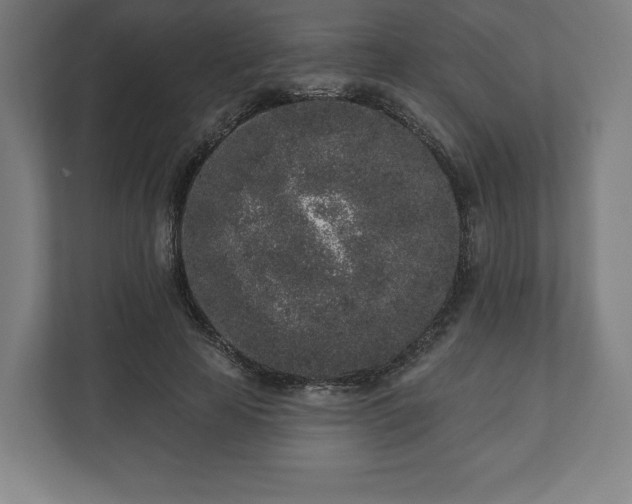 X0000110860641200906251209