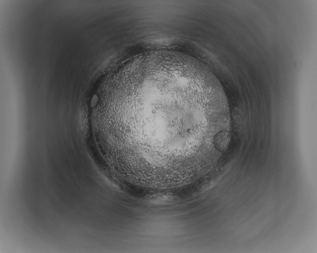 X0000110860642200906251209