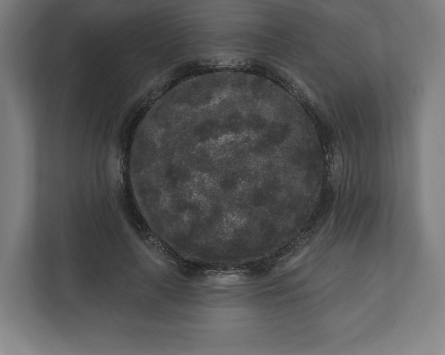 X0000110860643200906251209