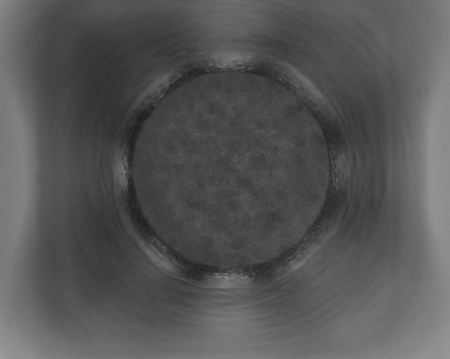 X0000110860644200906251209