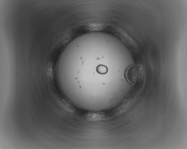 X0000110860655200906251209