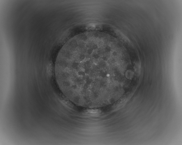 X0000110860659200906251209