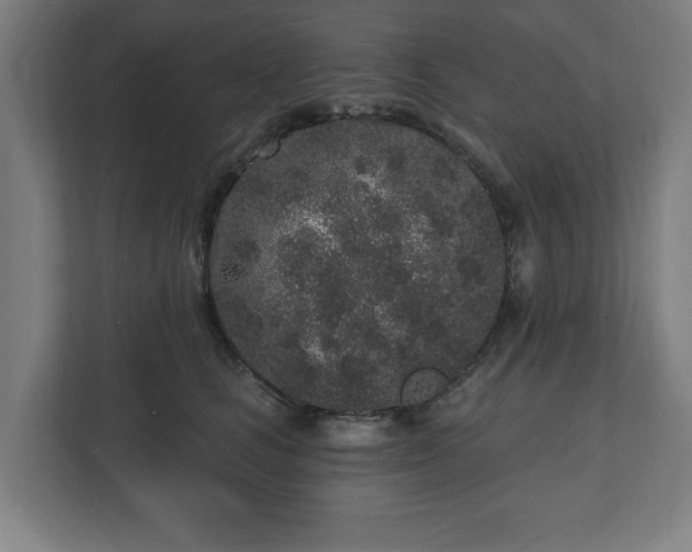 X0000110860661200906251209