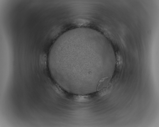 X0000110860664200906251209