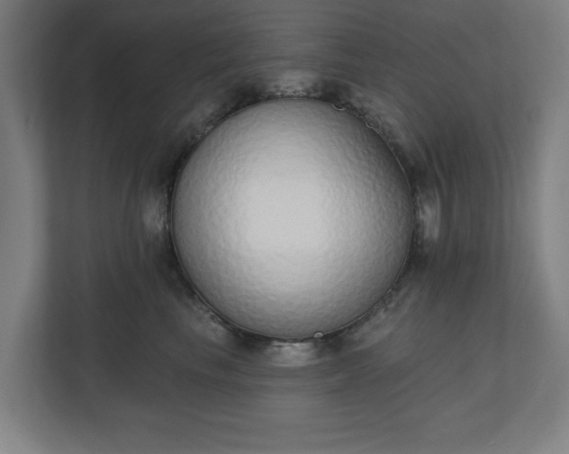 X0000110860665200906251209