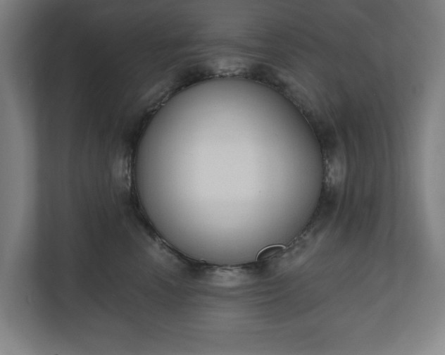 X0000110860666200906251209