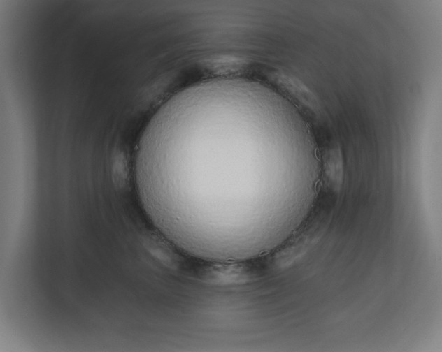 X0000110860667200906251209