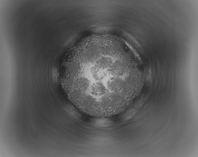 X0000110860669200906251209