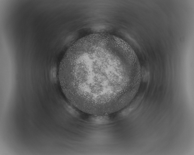 X0000110860670200906251209