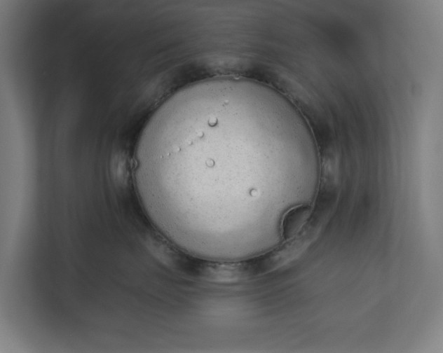 X0000110860671200906251209