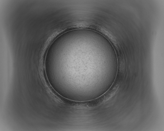 X0000110860673200906251209