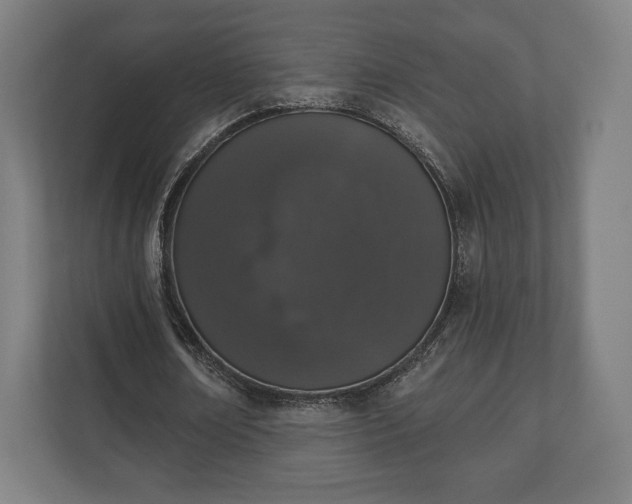 X0000110860674200906251209