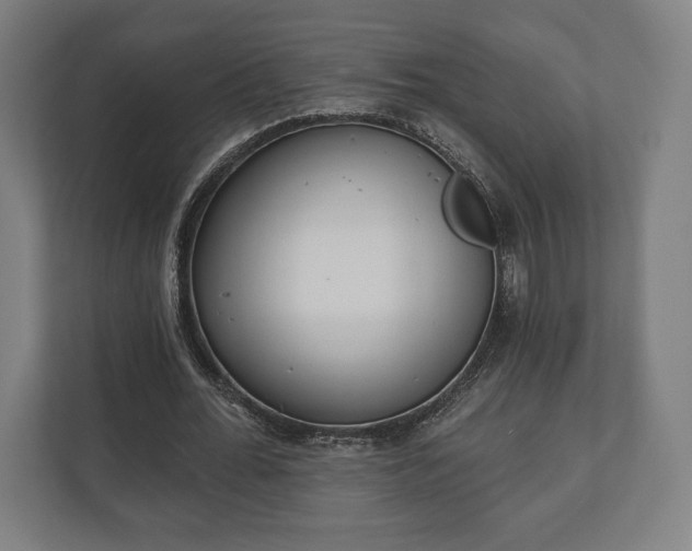 X0000110860676200906251209