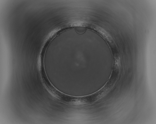 X0000110860678200906251209