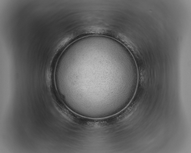 X0000110860679200906251209