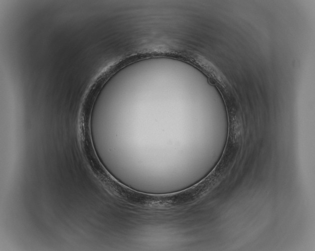 X0000110860680200906251209