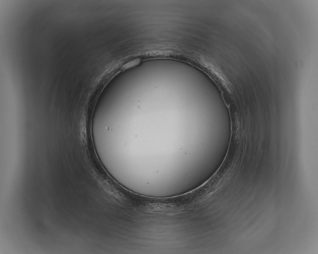 X0000110860681200906251209