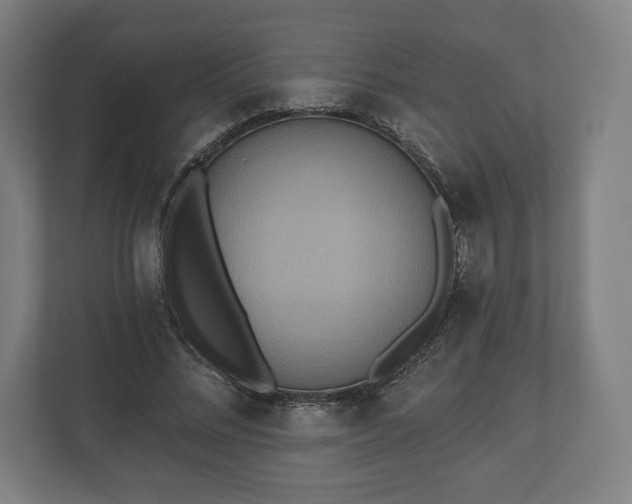 X0000110860684200906251209