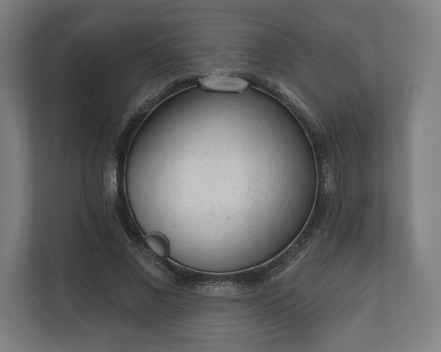 X0000110860685200906251209