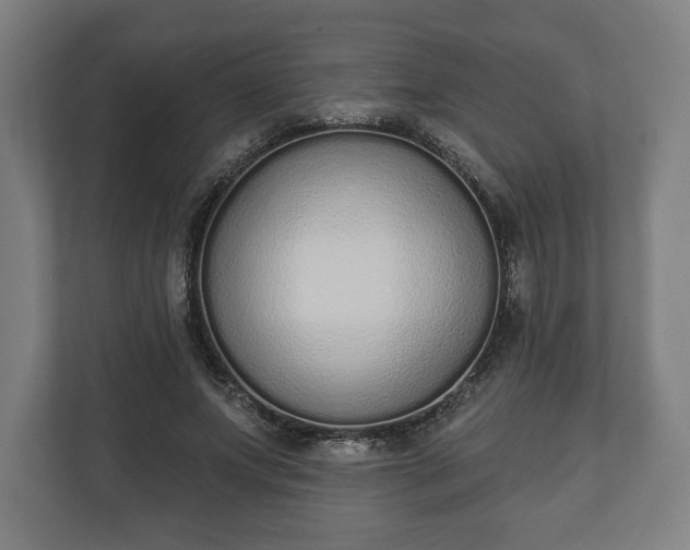 X0000110860687200906251209