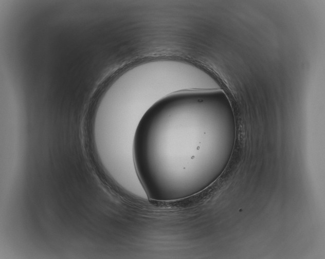 X0000110860688200906251209