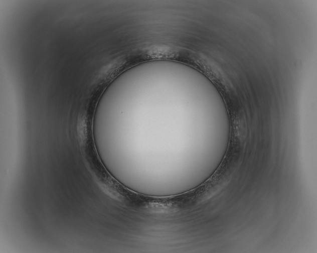 X0000110860690200906251209