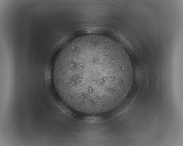 X0000110860691200906251209