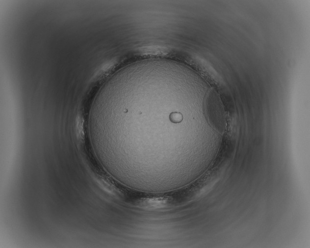 X0000110860692200906251209