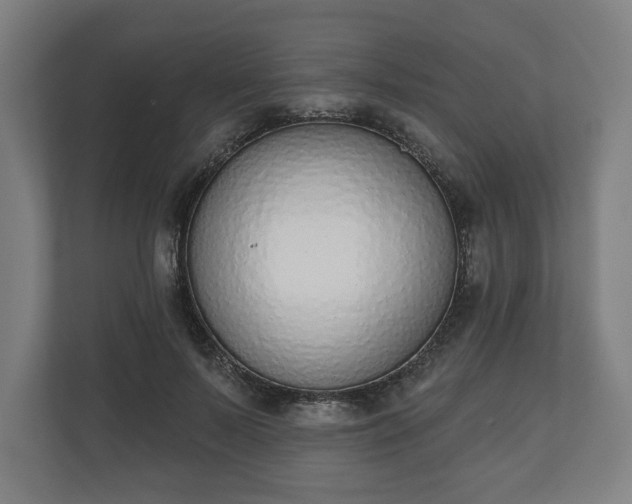 X0000110860695200906251209