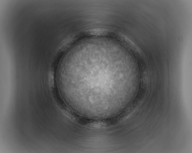 X0000110860696200906251209