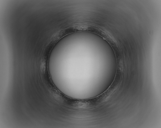 X0000110860697200906251208