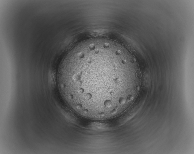 X0000110860699200906251208