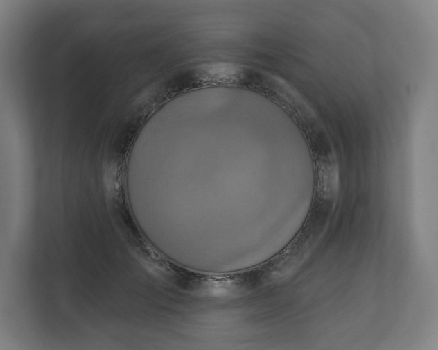 X0000110860701200906251208