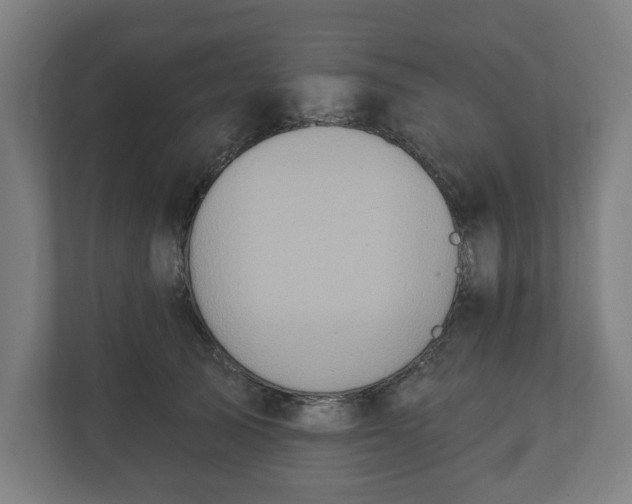 X0000110860705200906251208