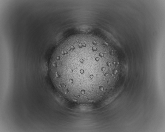 X0000110860707200906251208