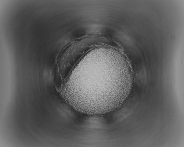 X0000110860708200906251208