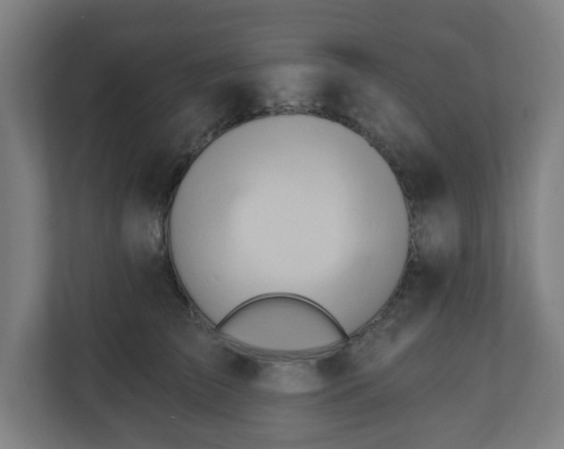 X0000110860709200906251208