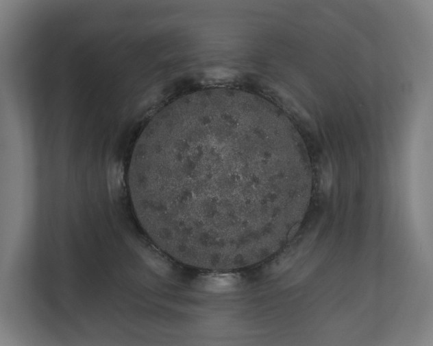 X0000110860711200906251208