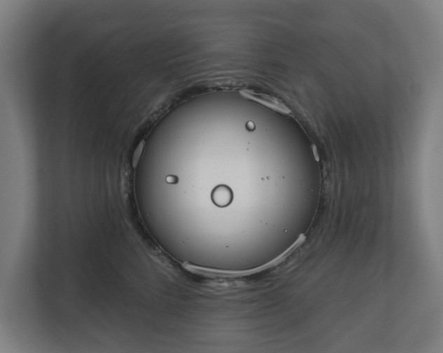 X0000110860712200906251208