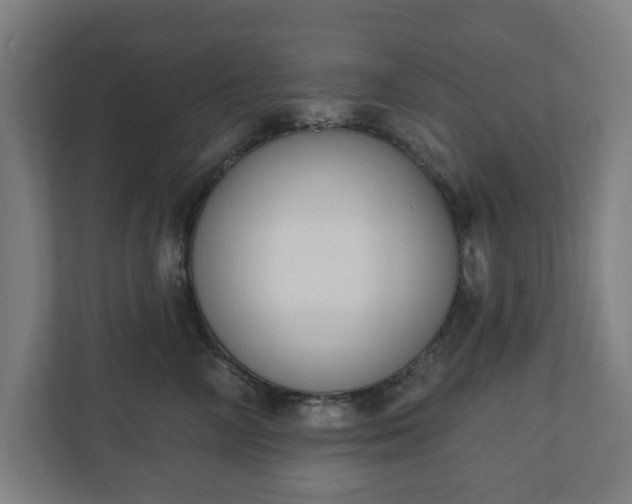 X0000110860714200906251208