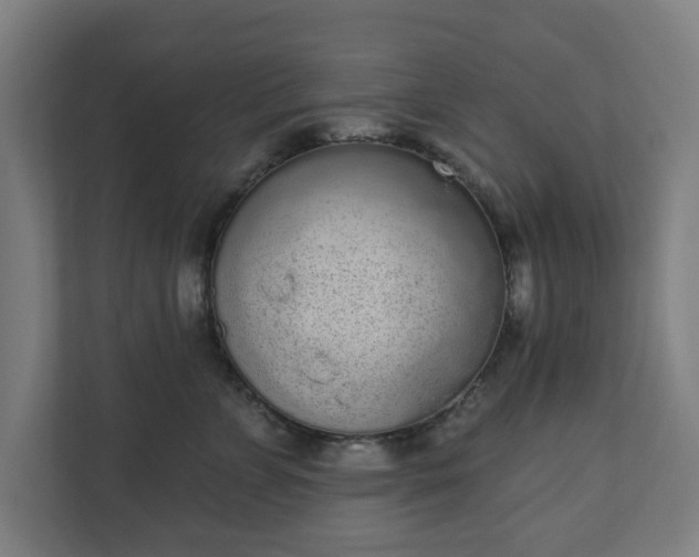 X0000110860715200906251208