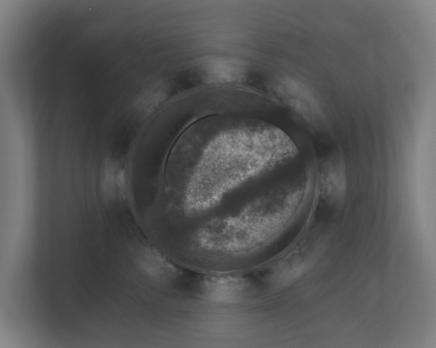 X0000110860716200906251208