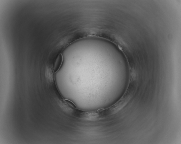 X0000110860719200906251208