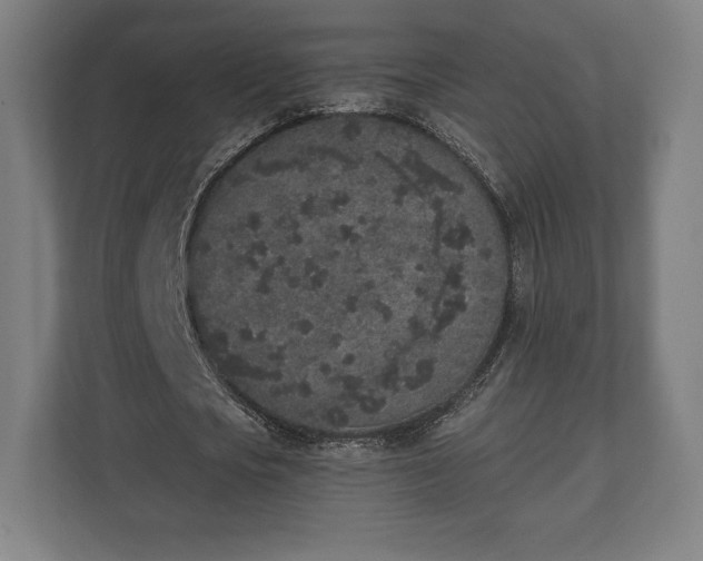 X0000110860721200906251208