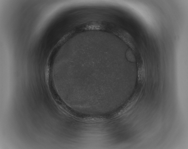 X0000110860722200906251208