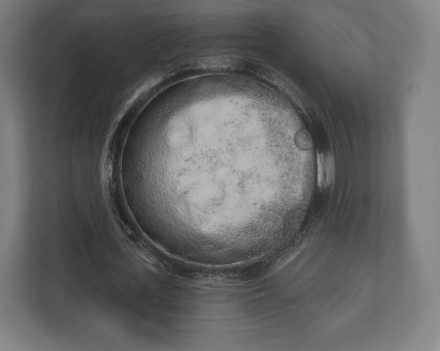 X0000110860723200906251208